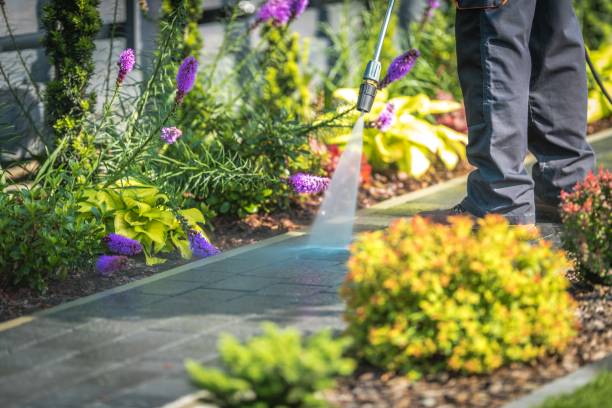 Best Dumpster Area Cleaning  in Indian Rocks Beach, FL